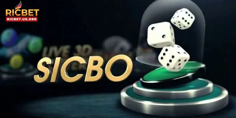Sicbo RICBET – Cá Cược Dễ Dàng, Thắng Lớn Đỉnh Cao