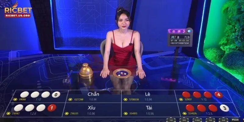 Tuyển Tập Mẹo Chơi Xóc Đĩa An Toàn Cho Hội Viên Mới