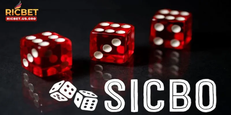 Sicbo RICBET – Cá Cược Dễ Dàng, Thắng Lớn Đỉnh Cao